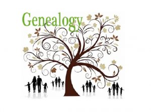 genealogy